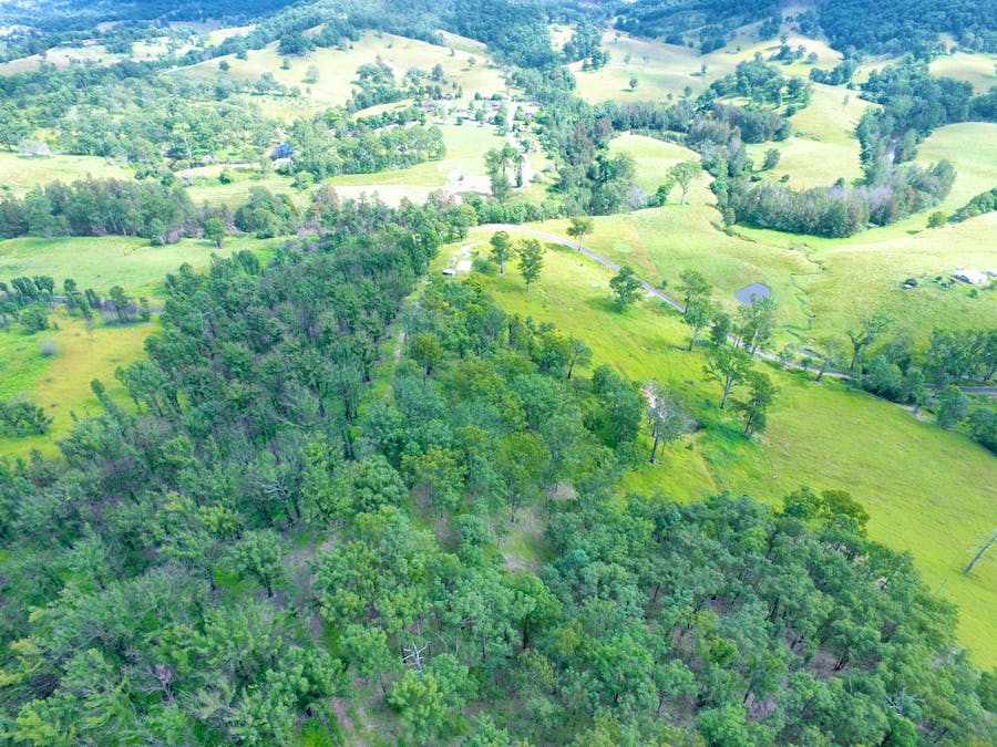 Lot 2 Nulla Nulla Creek Road, Bellbrook, NSW, 2440 - Image 8