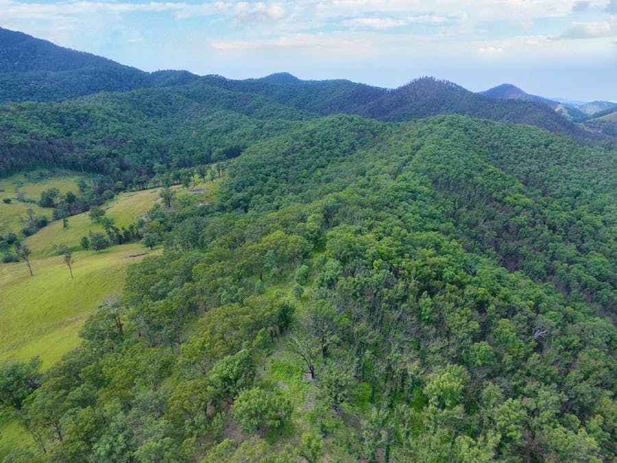 Lot 2 Nulla Nulla Creek Road, Bellbrook, NSW, 2440 - Image 9