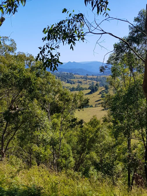 Lot 2 Nulla Nulla Creek Road, Bellbrook, NSW, 2440 - Image 10