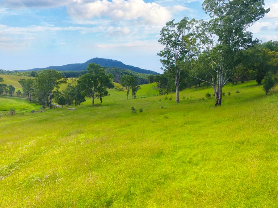 Lot 2 Nulla Nulla Creek Road, Bellbrook, NSW, 2440 - Image 2