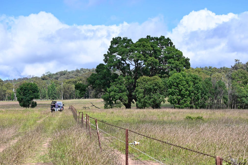 'Bunndarra And Towealgra' Digilah West Road, Dunedoo, NSW, 2844 - Image 4