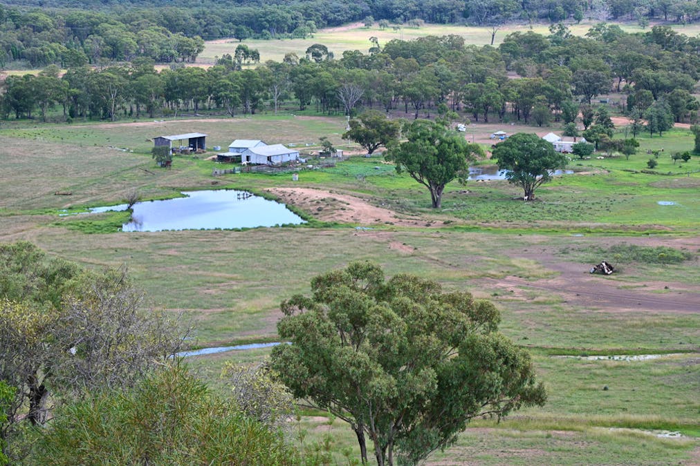 'Bunndarra And Towealgra' Digilah West Road, Dunedoo, NSW, 2844 - Image 11