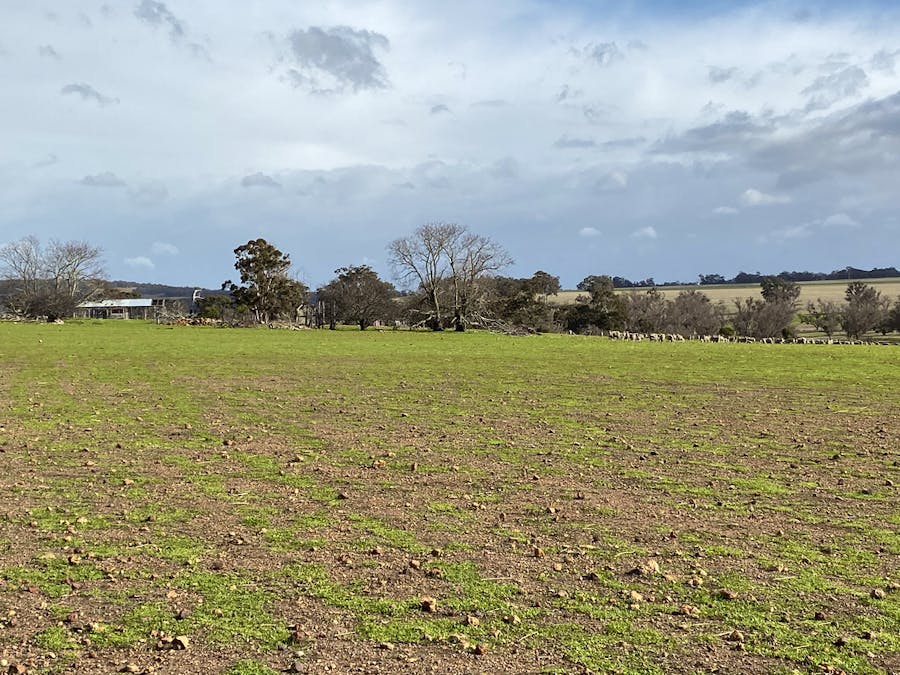 Lot 9531 Balgarup Road, Boyup Brook, WA, 6244 - Image 5