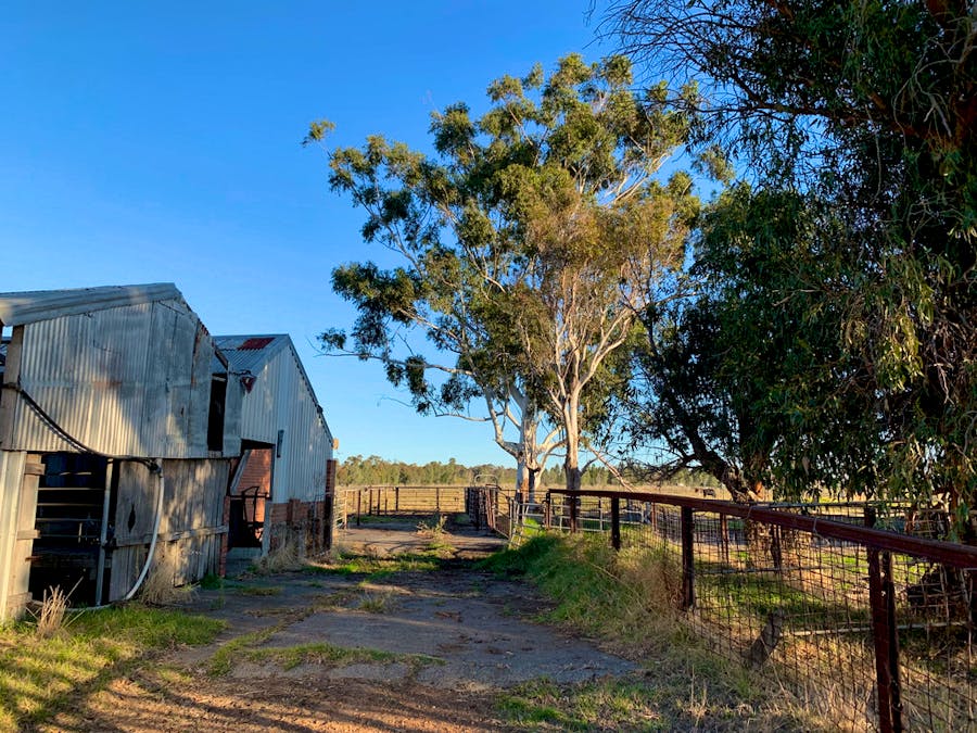 11994 South Western Highway, Benger, WA, 6223 - Image 8