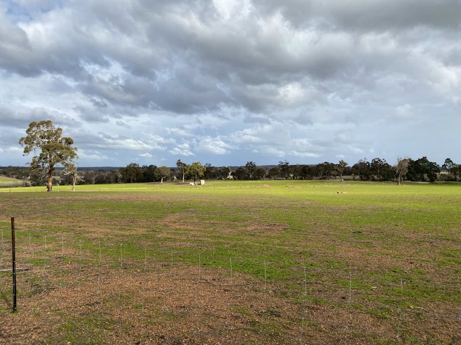 Lot 9531 Balgarup Road, Boyup Brook, WA, 6244 - Image 4