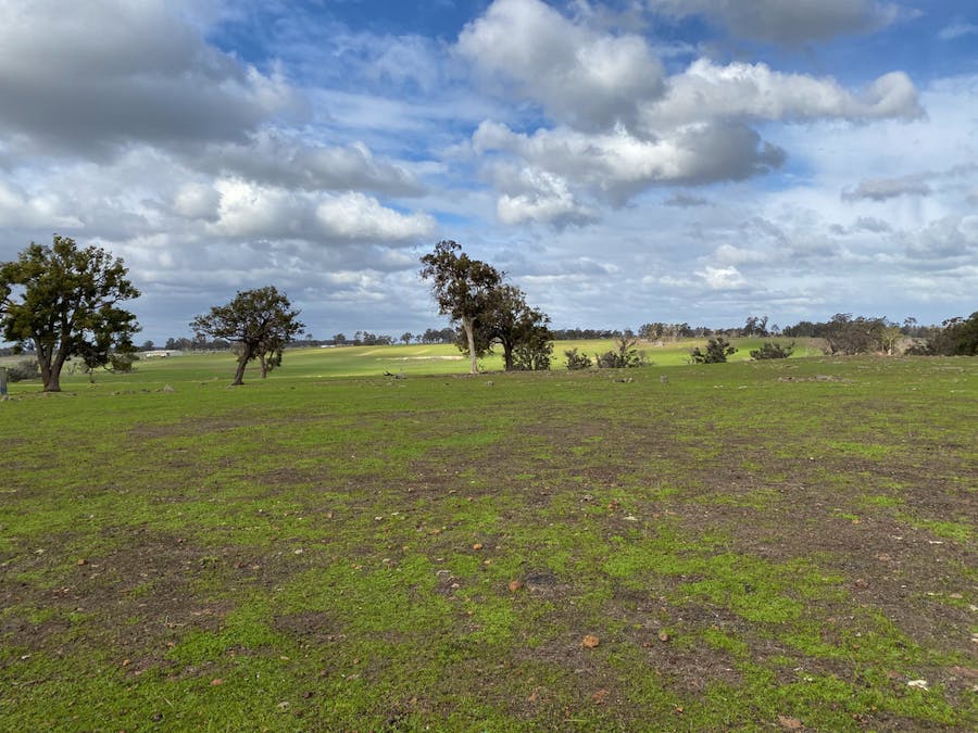 Lot 9531 Balgarup Road, Boyup Brook, WA, 6244 - Image 3