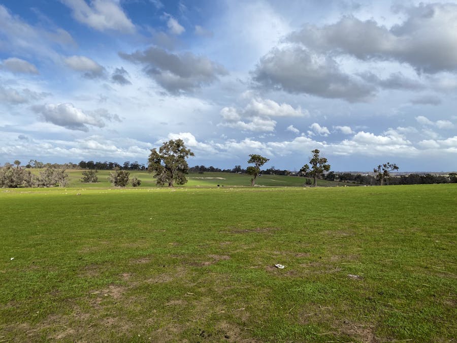 Lot 9531 Balgarup Road, Boyup Brook, WA, 6244 - Image 1