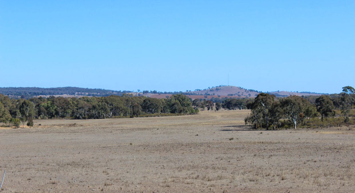 'Kimberley' Dennykymine Road, Merrygoen, NSW, 2831 - Image 5