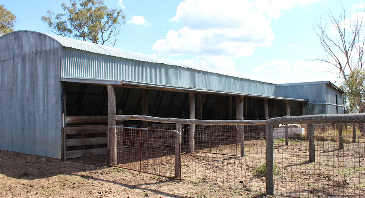 188 Bullarook Rd, Coolah, NSW, 2843 - Image 28