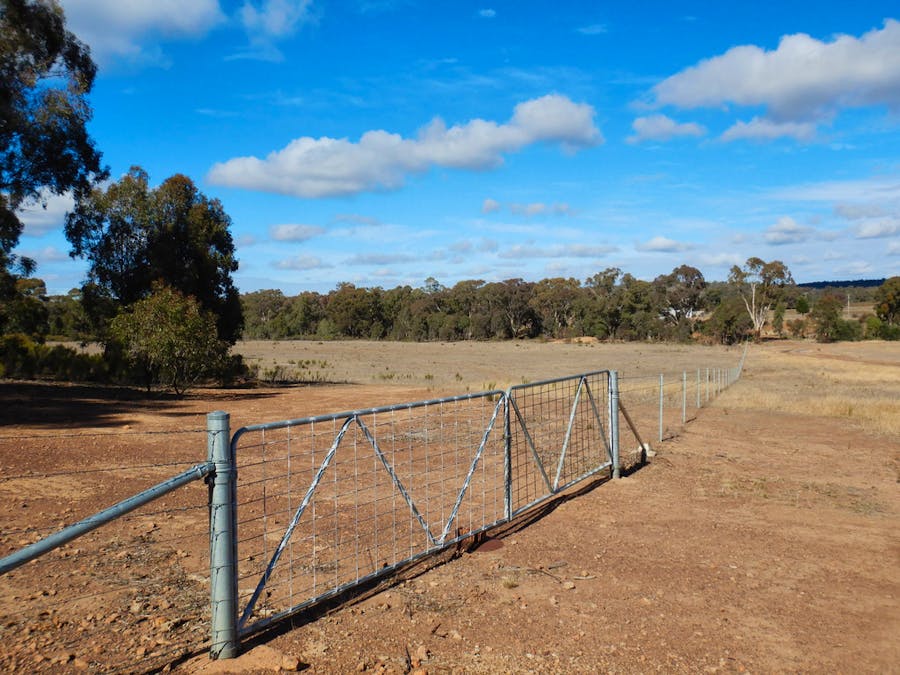 'Kimberley' Dennykymine Road, Merrygoen, NSW, 2831 - Image 16