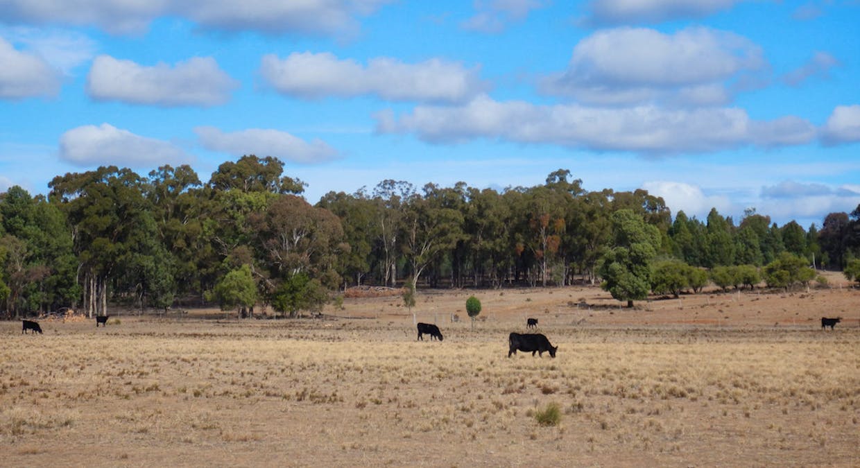 'Kimberley' Dennykymine Road, Merrygoen, NSW, 2831 - Image 7