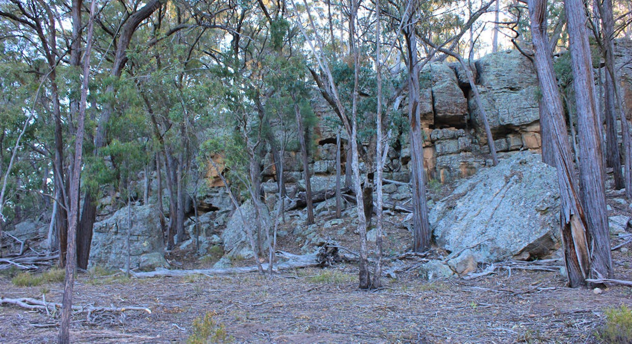 1564 Mount Hope Road, Coolah, NSW, 2843 - Image 34