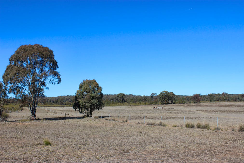 'Kimberley' Dennykymine Road, Merrygoen, NSW, 2831 - Image 4