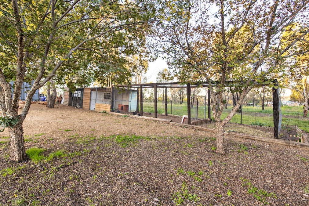 6R Harefield Road, Dubbo, NSW, 2830 - Image 42