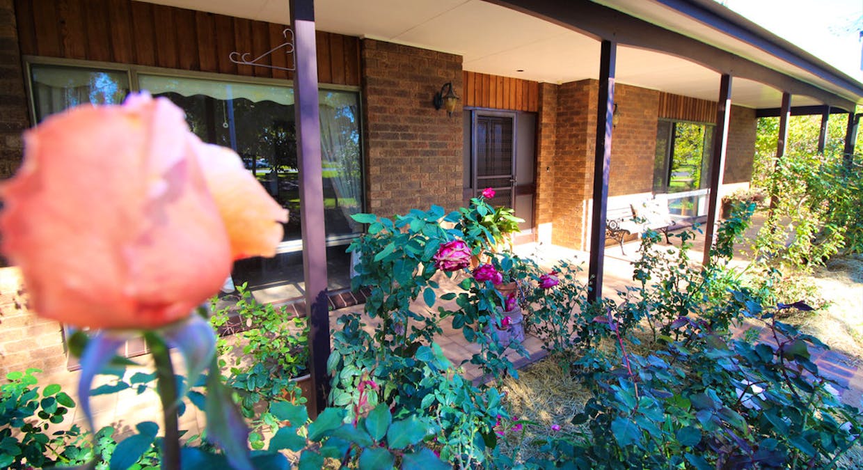 50 Griffin Avenue, Griffith, NSW, 2680 - Image 2