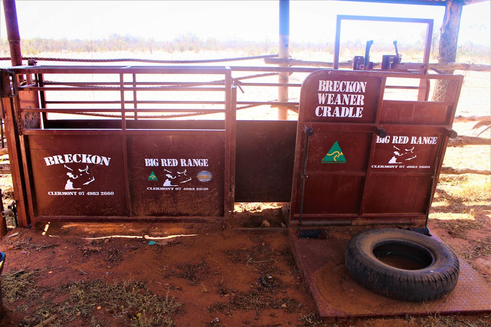 Gooyea Station, Quilpie, QLD, 4480 - Image 12