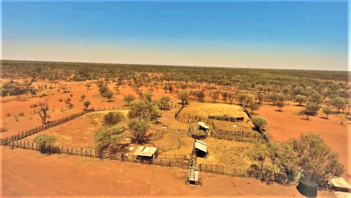 Gooyea Station, Quilpie, QLD, 4480 - Image 11