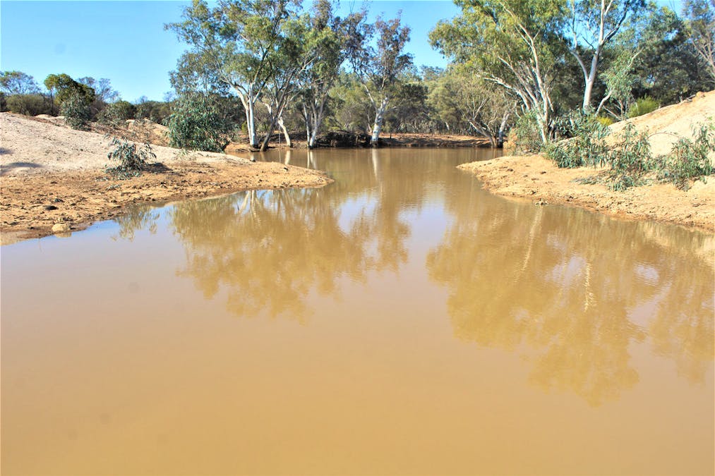 Gooyea Station, Quilpie, QLD, 4480 - Image 17