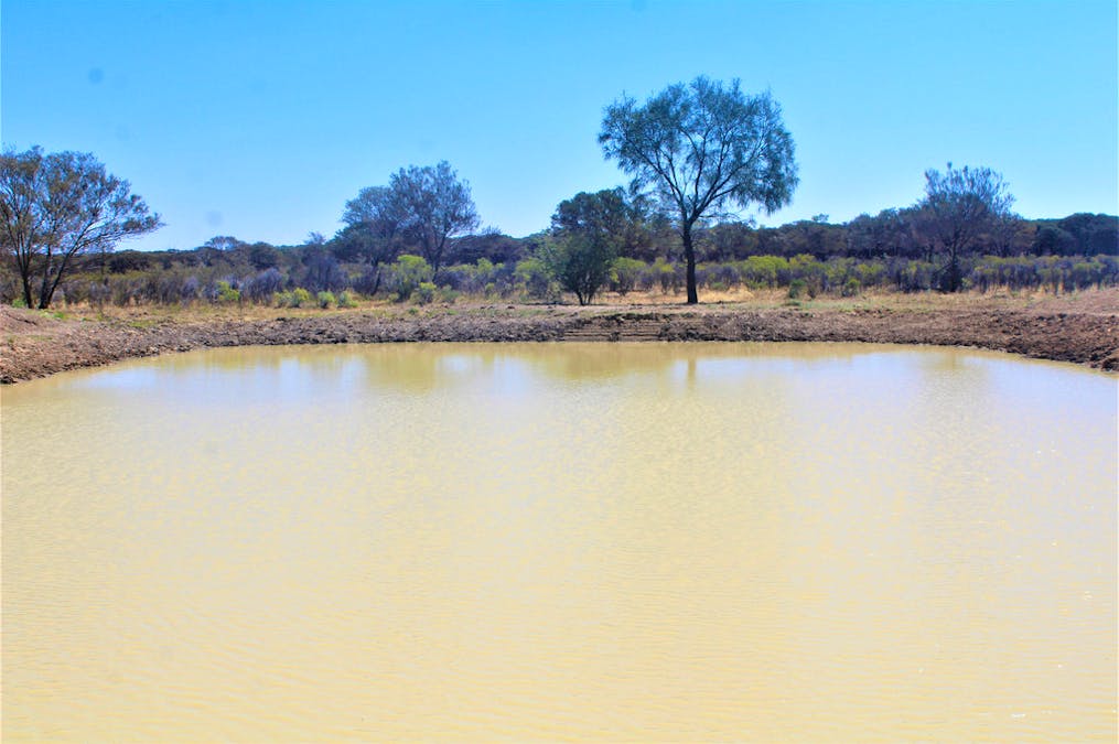 Gooyea Station, Quilpie, QLD, 4480 - Image 22