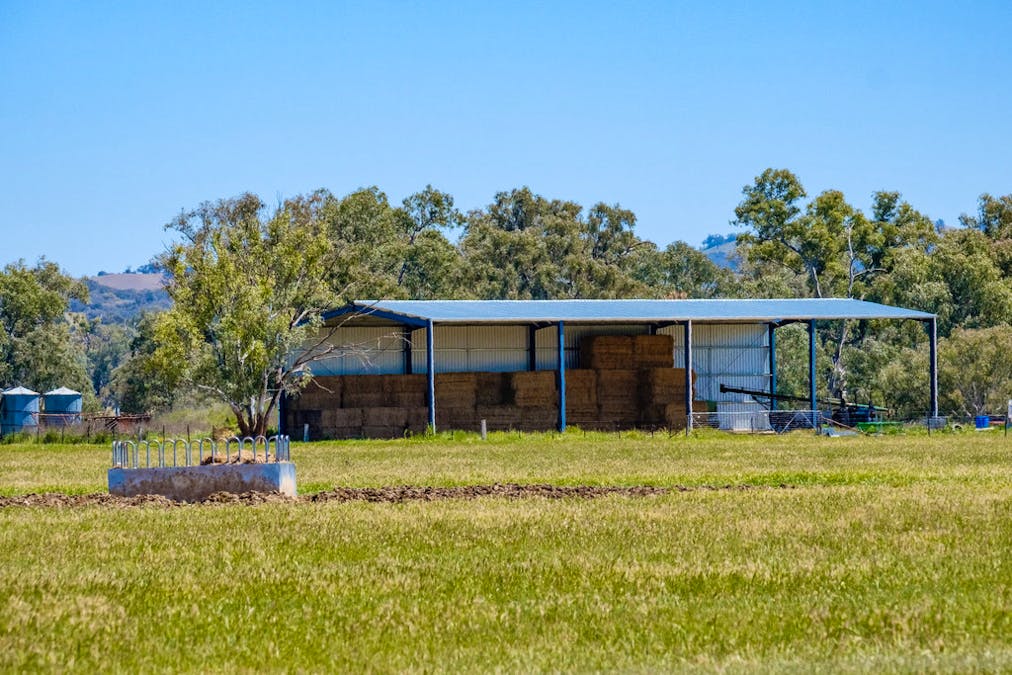 Forest Vale, Hume Highway, Holbrook, NSW, 2644 - Image 25