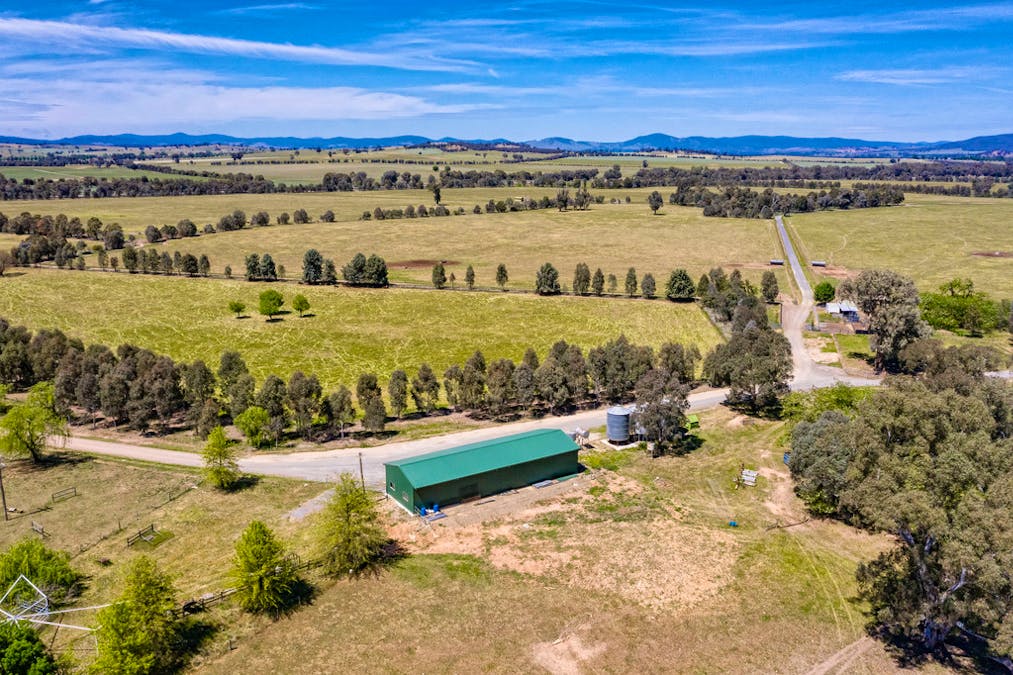 Forest Vale, Hume Highway, Holbrook, NSW, 2644 - Image 4