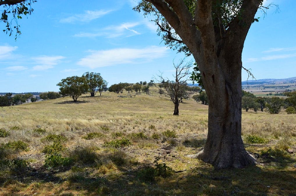 Lot 4 / 94 Old Cootamundra Road, Cootamundra, NSW, 2590 - Image 1