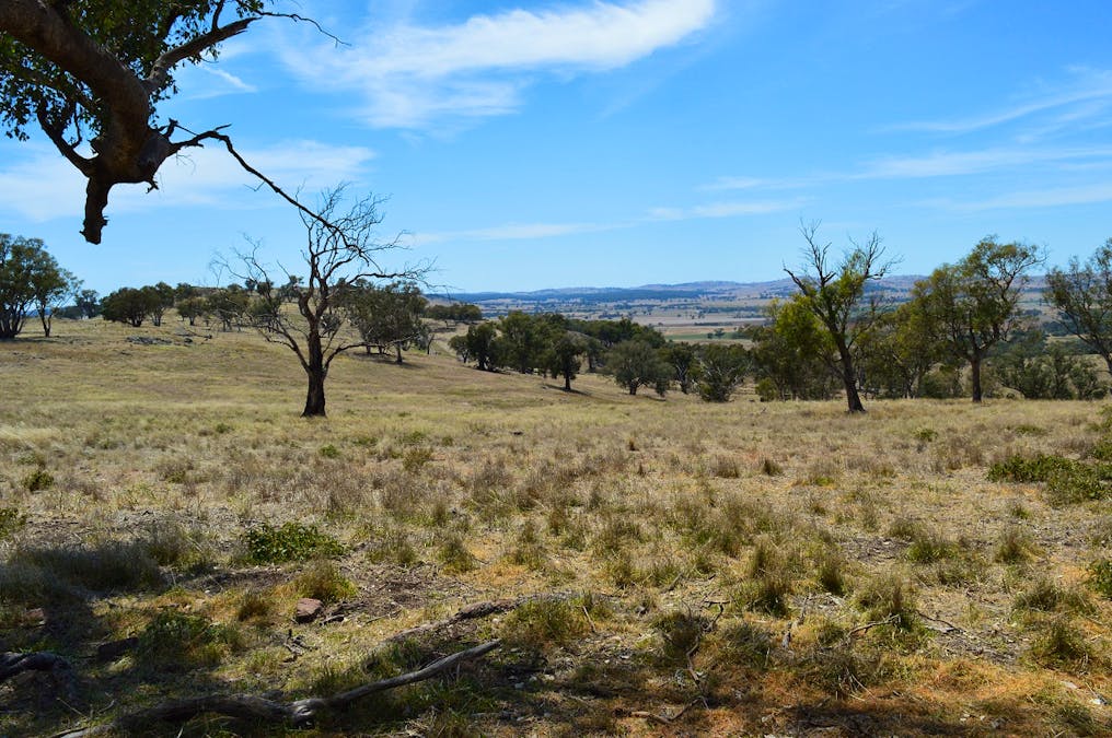 Lot 4 / 94 Old Cootamundra Road, Cootamundra, NSW, 2590 - Image 2