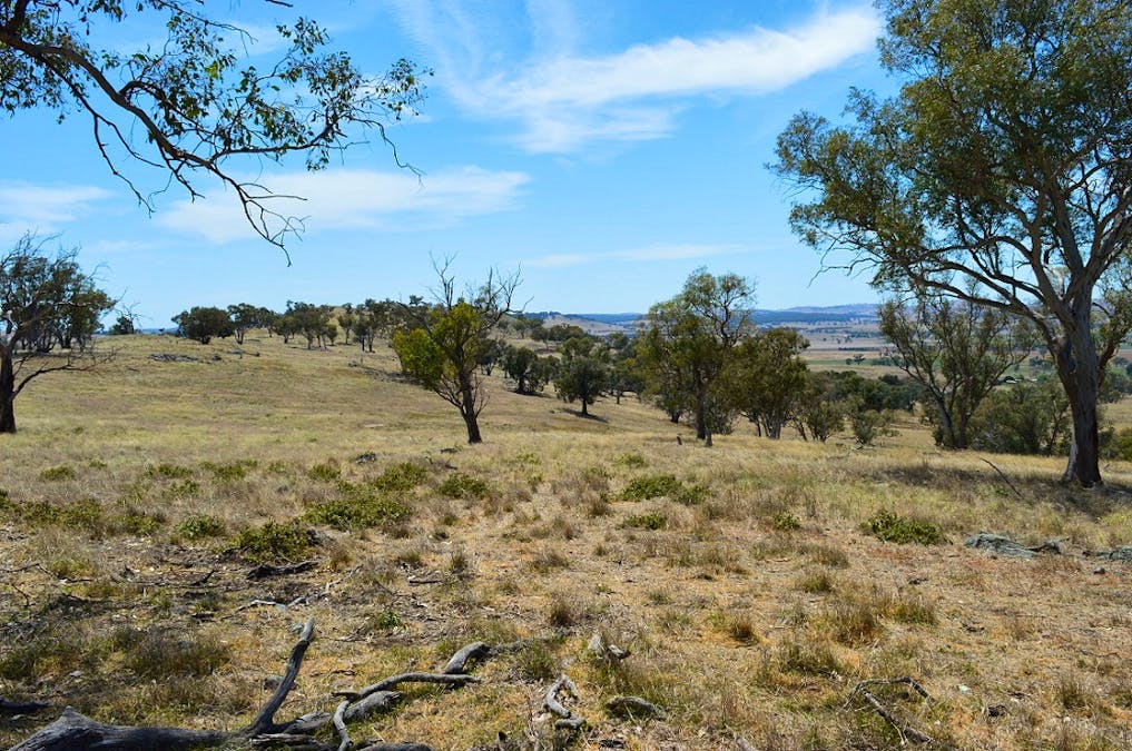 Lot 4 / 94 Old Cootamundra Road, Cootamundra, NSW, 2590 - Image 3