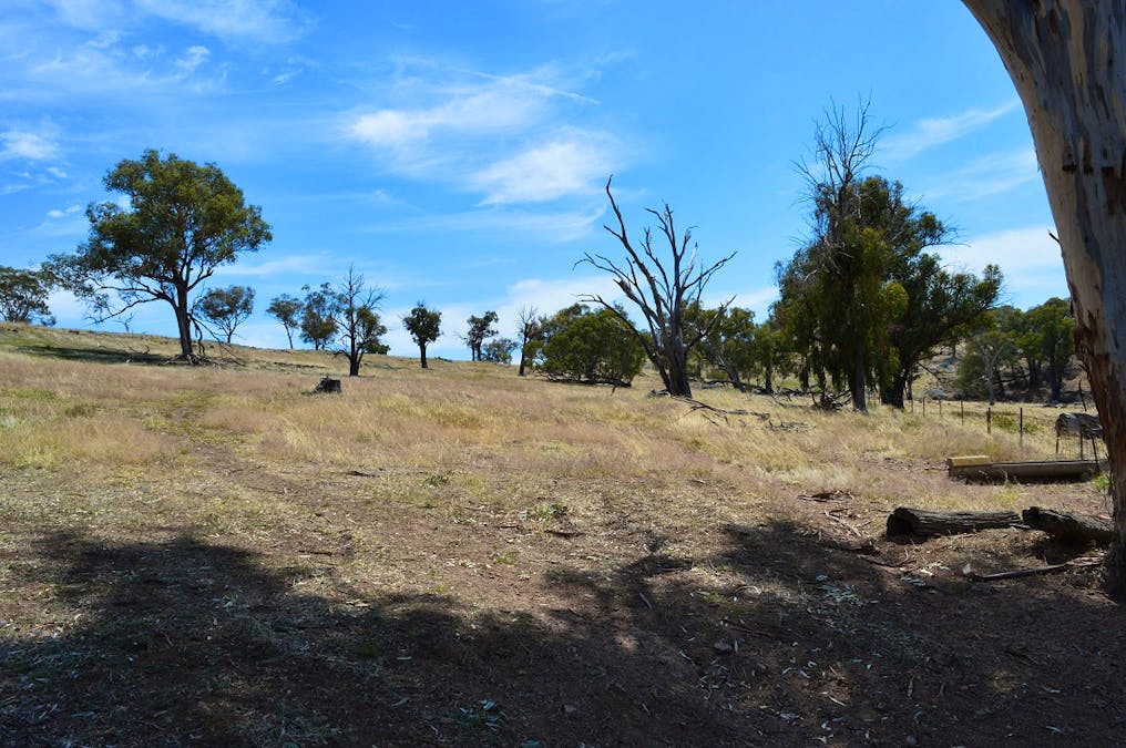 Lot 4 / 94 Old Cootamundra Road, Cootamundra, NSW, 2590 - Image 5