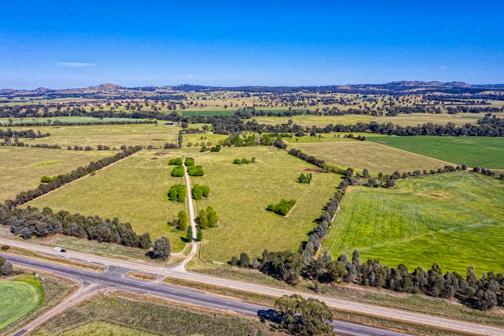 Forest Vale, Hume Highway, Holbrook, NSW, 2644 - Image 30