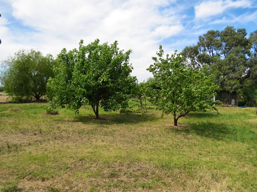 6221 Cobb Highway, Deniliquin, NSW, 2710 - Image 31