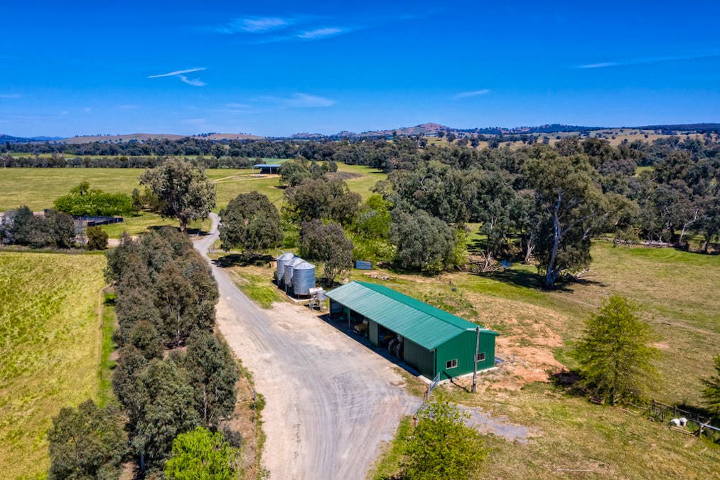 Forest Vale, Hume Highway, Holbrook, NSW, 2644 - Image 24