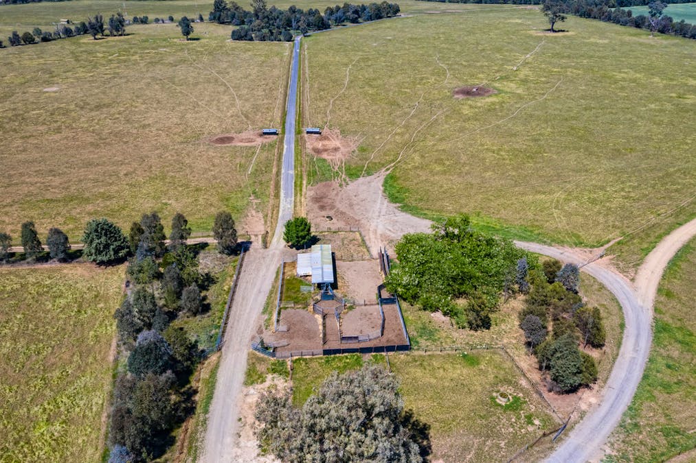 Forest Vale, Hume Highway, Holbrook, NSW, 2644 - Image 26