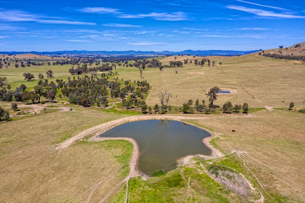 Forest Vale, Hume Highway, Holbrook, NSW, 2644 - Image 29