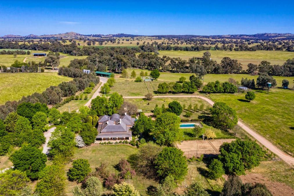 Forest Vale, Hume Highway, Holbrook, NSW, 2644 - Image 1