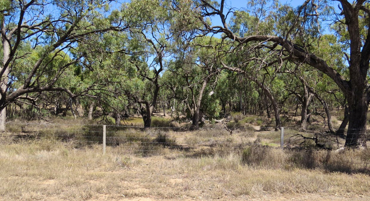 1825 Rangemore Road, Deniliquin, NSW, 2710 - Image 29
