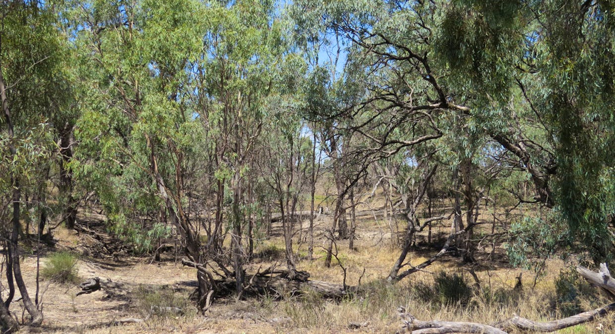 1825 Rangemore Road, Deniliquin, NSW, 2710 - Image 25
