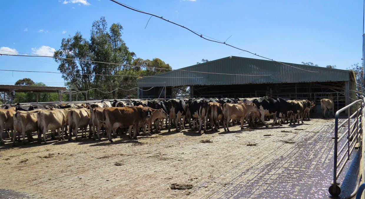 1272 Newell Highway, Tocumwal, NSW, 2714 - Image 17