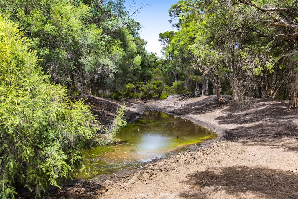 1960 Brand Highway, Muchea, WA, 6501 - Image 14