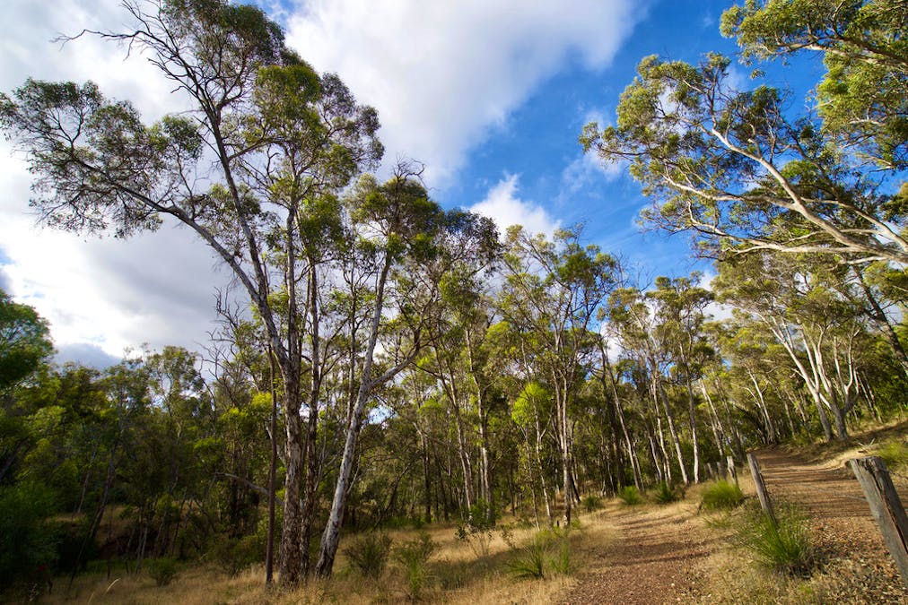 1884 Chittering Road, Lower Chittering, WA, 6084 - Image 9