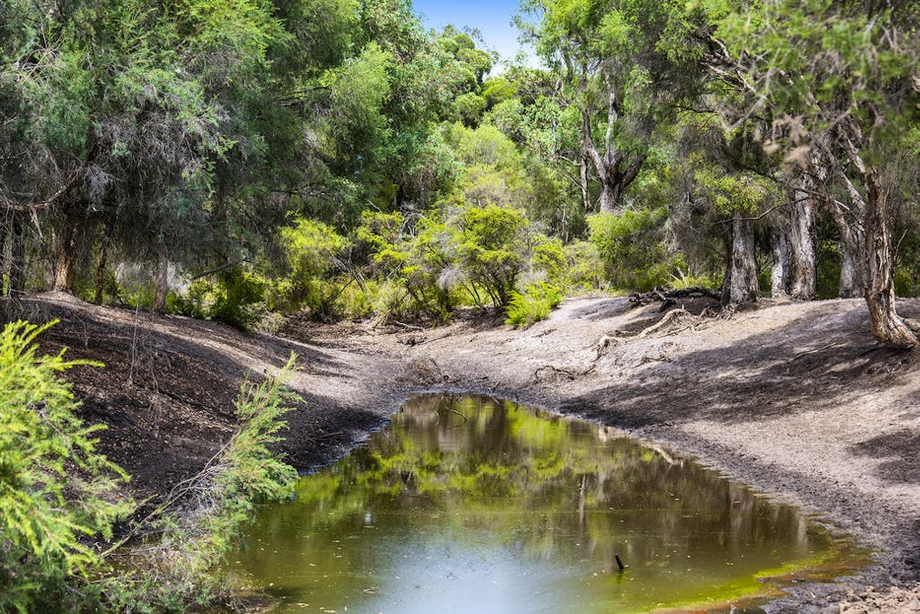 1960 Brand Highway, Muchea, WA, 6501 - Image 13