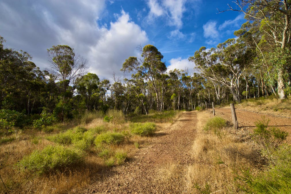 1884 Chittering Road, Lower Chittering, WA, 6084 - Image 7