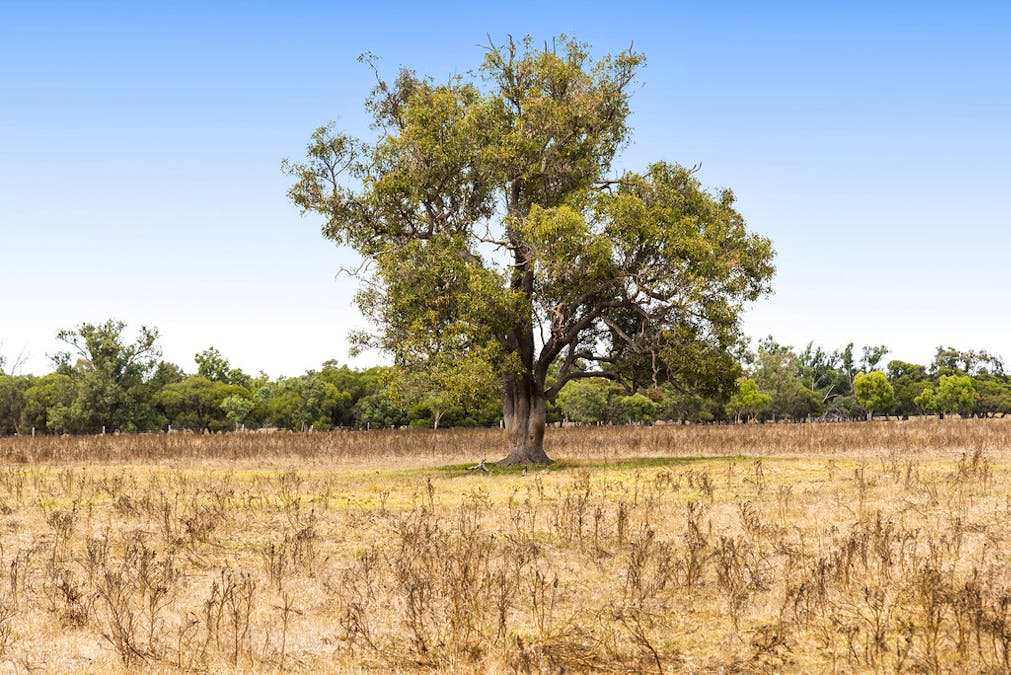 1960 Brand Highway, Muchea, WA, 6501 - Image 15