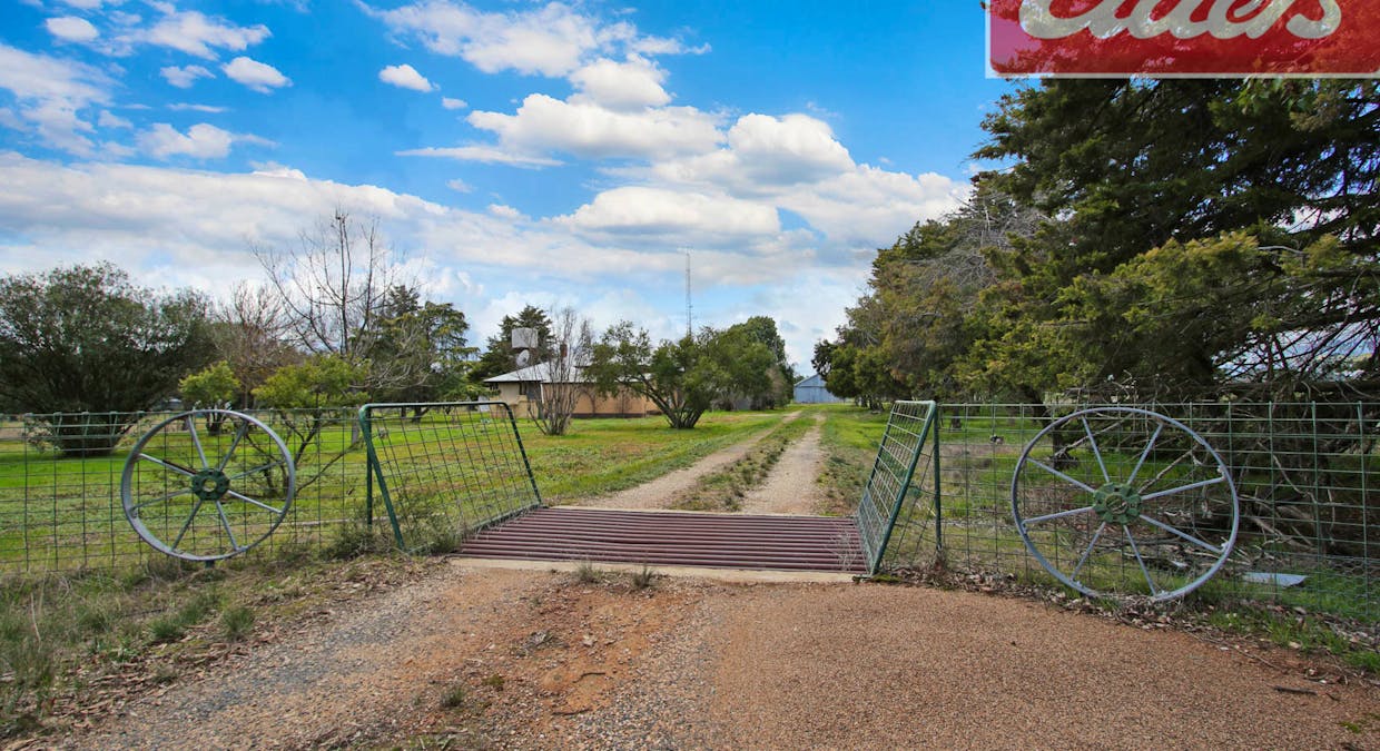 2718 Kywong-Howlong Road, Brocklesby, NSW, 2642 - Image 17