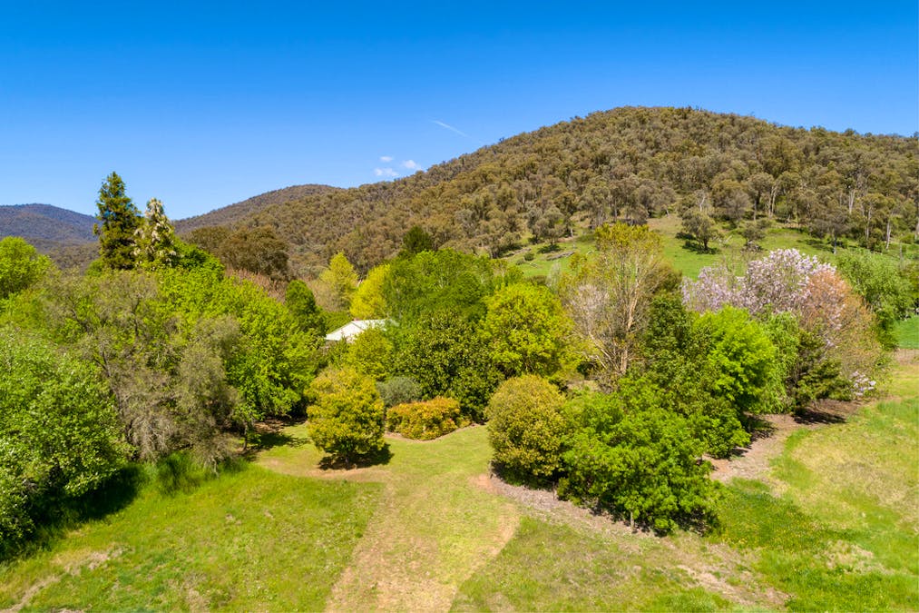 3114 Omeo Highway, Tallandoon, VIC, 3701 - Image 19