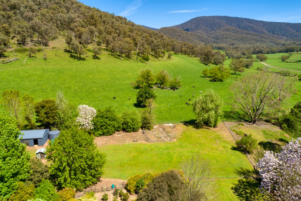 3114 Omeo Highway, Tallandoon, VIC, 3701 - Image 25