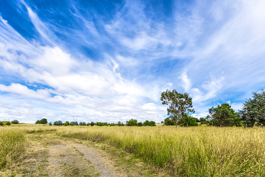 116 Dog Trap Road, Marchmont, NSW, 2582 - Image 10