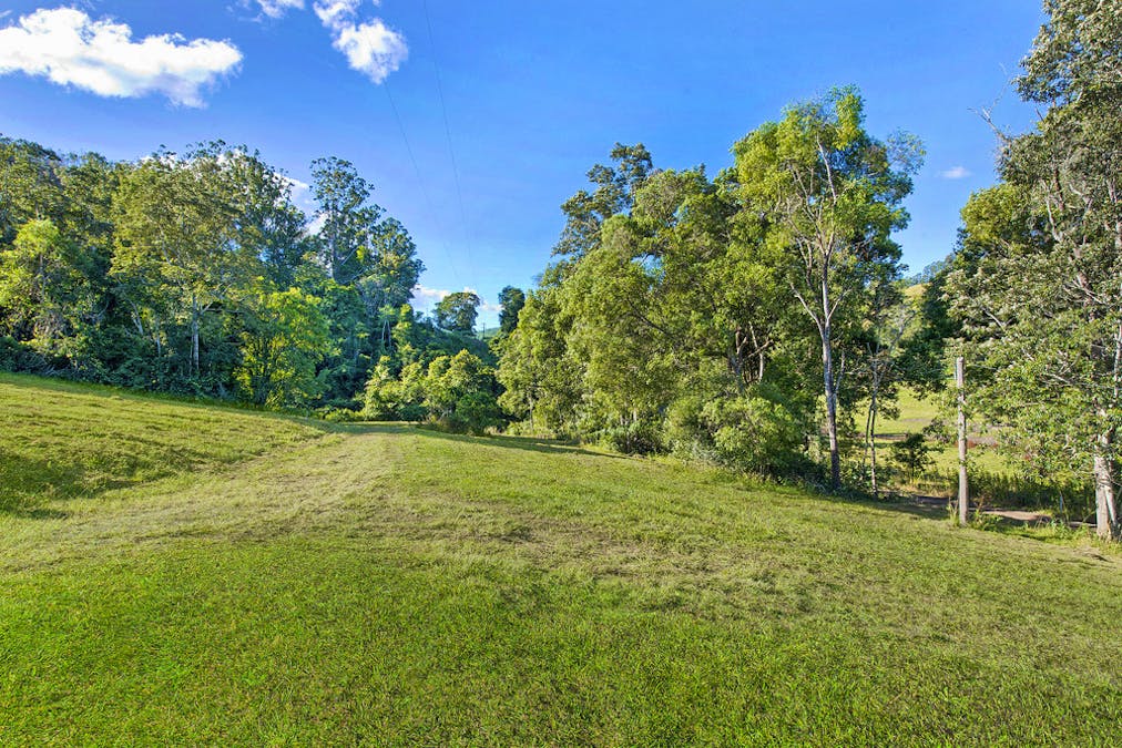 325 Black Creek Rd, Black Creek, NSW, 2439 - Image 6